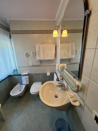 um banheiro com uma pia, um vaso sanitário e um espelho em Park Hotel Aurora em Pozza di Fassa