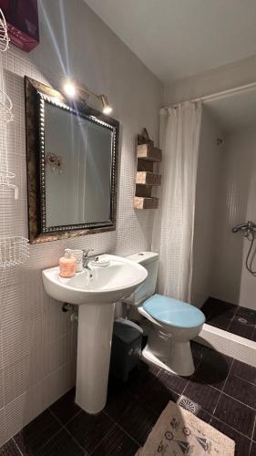 a bathroom with a sink and a toilet and a mirror at Garden house in Arta