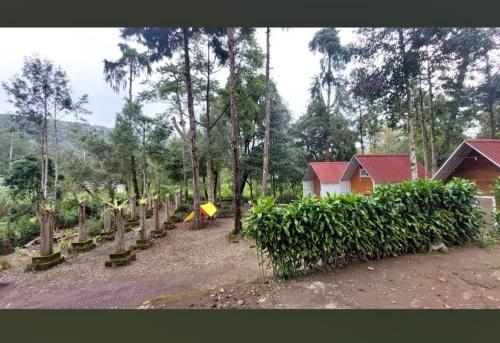 En have udenfor Penginapan Cimanggu forest