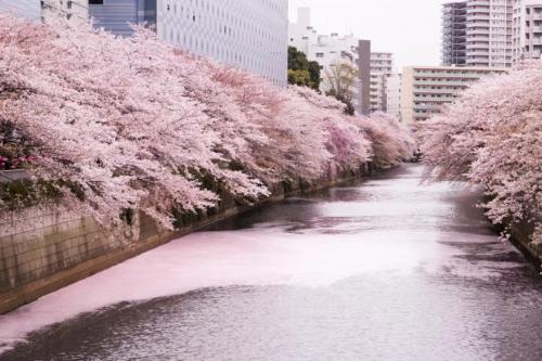 Penthouse, 5 min walk to station, New building, 15 m Meguro River