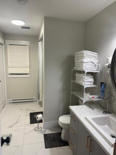 een badkamer met toilet en wastafel bij Platinum Homes Stylish 3BR Home Near Moncton, Dieppe Airport Free Parking in Dieppe