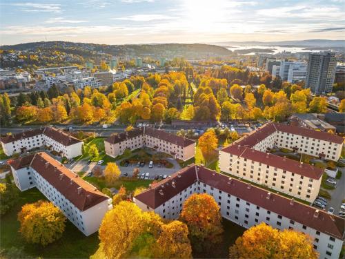 Příroda nedaleko apartmánu