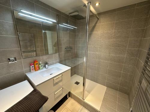 a bathroom with a shower and a sink and a mirror at T3 proche aéroport in Saint-Jacques-de-la-Lande