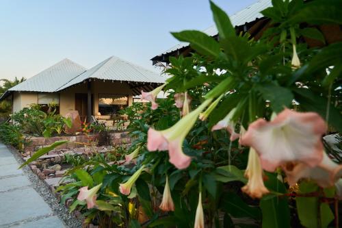 a garden with pink flowers in front of a house at Shambhala in Bhopal