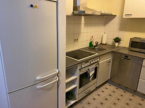 Kuchyň nebo kuchyňský kout v ubytování Mainz Downtown Residence