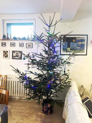 a christmas tree with blue lights in a living room at Istebna715 in Istebna