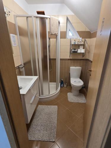 a small bathroom with a shower and a toilet at Smiley Apartment in Sibiu