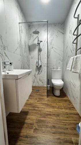 a bathroom with a sink and a toilet at Yu-home 2 in Mukacheve