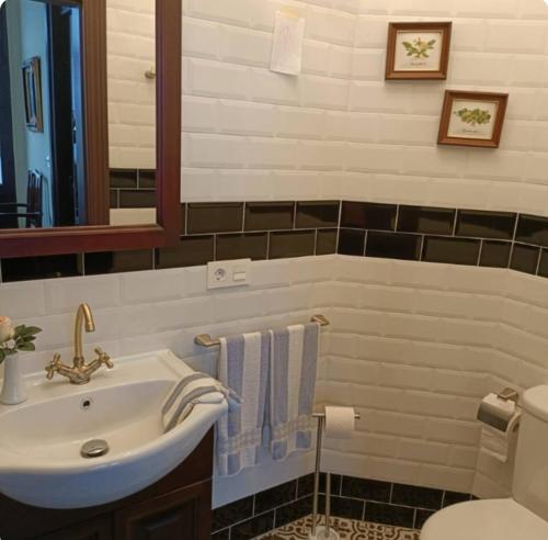 a bathroom with a sink and a toilet and a mirror at Palacio de la Monstrua in Avilés