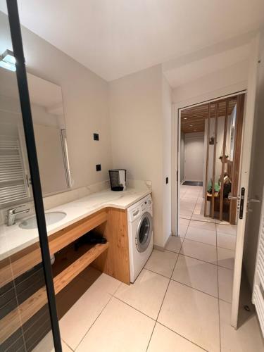 a bathroom with a washing machine and a sink at SixT Lodge in Saint-Jean-de-Sixt