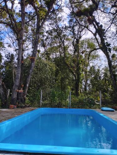 a blue swimming pool in a yard with trees at Recanto da onça in Matinhos