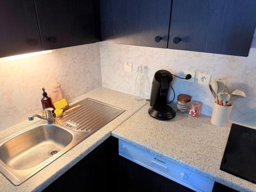 a kitchen counter with a sink and a mixer at Le Clos de Beaune in Levernois