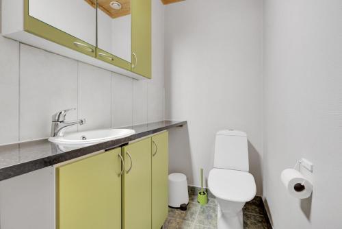 a bathroom with a white toilet and a sink at Pyhäkoti C - 30 Metres From the Slopes - Valkea Homes in Pyhätunturi