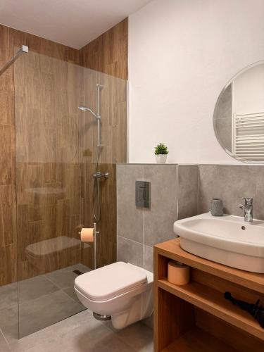 a bathroom with a toilet and a sink and a shower at Pensiunea Draser in Şeica Mică