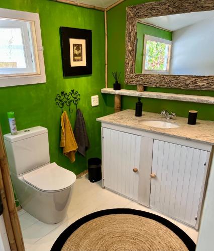 a bathroom with a toilet and a sink and a mirror at Piesang Valley Cottage Djungle in Plettenberg Bay