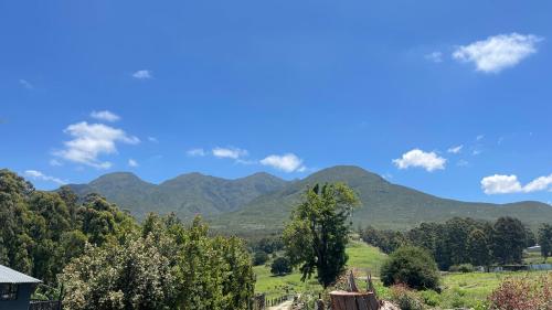 Paysage naturel près de la ferme