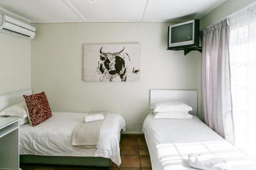 two beds in a room with a television and a cow picture at Wagon Wheel Country Lodge in Beaufort West