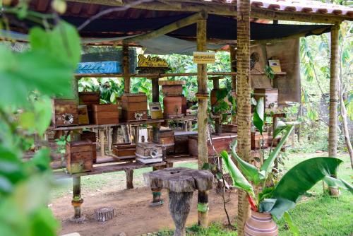 En have udenfor Vale das Rainhas