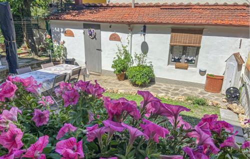 1 Bedroom Lovely Apartment In Firenze
