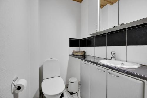 a white bathroom with a toilet and a sink at Pyhäkoti D - 30 Meters From the Slopes in Pyhätunturi