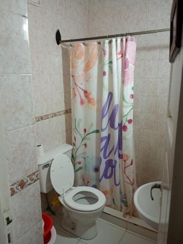 een badkamer met toilet en douchegordijn bij Casa Cómoda en Barreal in Barreal
