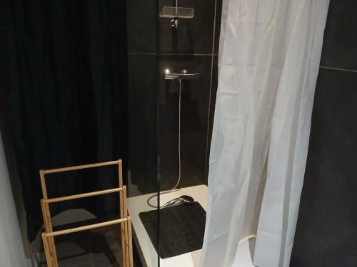 een badkamer met een douche met een douchegordijn bij li ptit coeur in Hastière-Lavaux