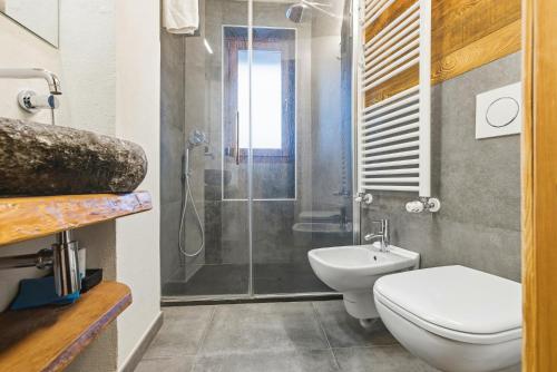 een badkamer met een douche, een toilet en een wastafel bij Hostdomus-Mountain Nest in Sauze d'Oulx