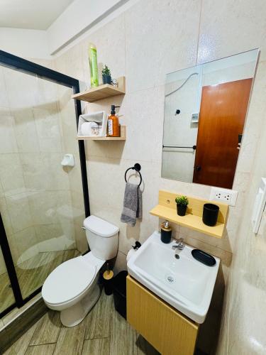 a bathroom with a toilet and a sink at Solena Apartamentos Tacna in Tacna