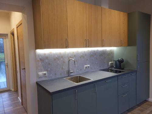 Kuchyň nebo kuchyňský kout v ubytování Pie pludmales