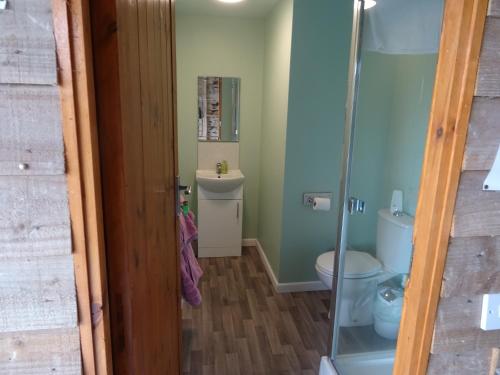 a bathroom with a shower and a toilet and a sink at Willey Lane Farm in Lingen