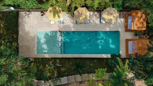 una vista dall'alto di una piscina con ombrelloni di Mikasa Bacalar Hotel Boutique, Lagoon Front a Bacalar