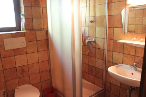 a bathroom with a shower and a toilet and a sink at Haus Sigrid in Bad Kleinkirchheim