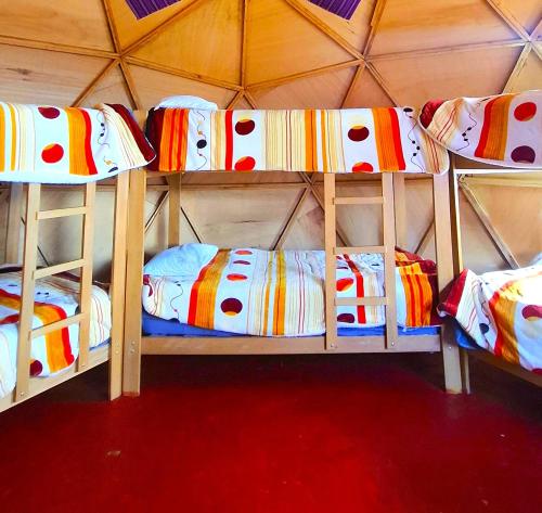 En eller flere senge i et værelse på Andes Domos