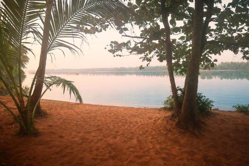 Phong cảnh thiên nhiên gần resort