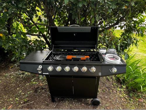 Grillfaciliteterne i lejligheden som gæsterne kan bruge