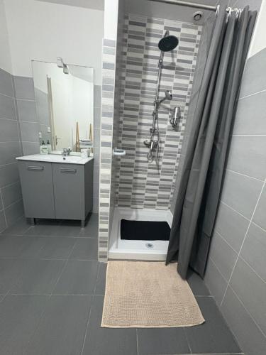 ein Badezimmer mit Dusche und Waschbecken in der Unterkunft Maison Carredas B in Bouliac