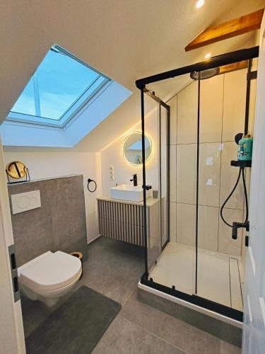een badkamer met een douche, een toilet en een wastafel bij Stilvolles Apartment im Loft-Style & Klimaanlage in Plaidt