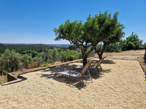 two chairs and a tree on top of a hill at Tomar Stunning Views pool cottage in Tomar