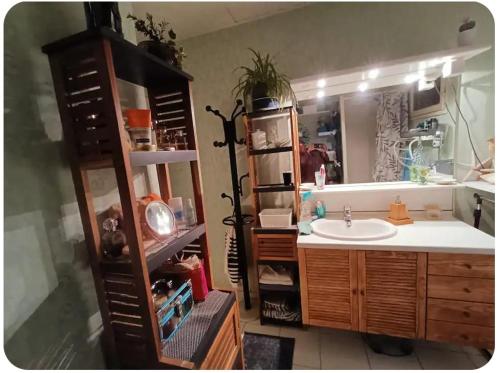 a bathroom with a sink and a large mirror at Chambres d'hôtes in Saint-Paul-Trois-Châteaux