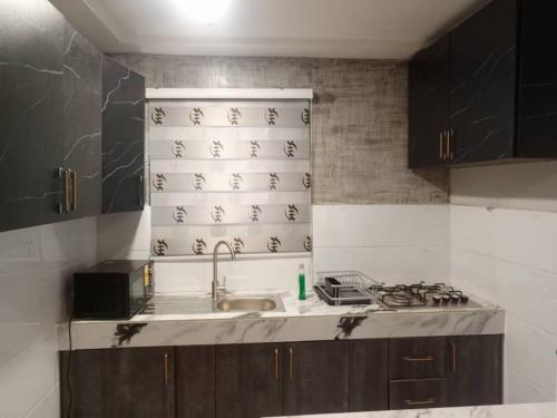 eine Küche mit Spüle und Herd in der Unterkunft Georgina's Court in Trofwi