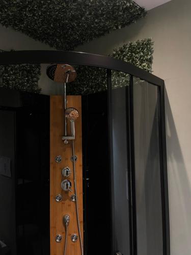 Billede fra billedgalleriet på La Jungle Room i Troyes