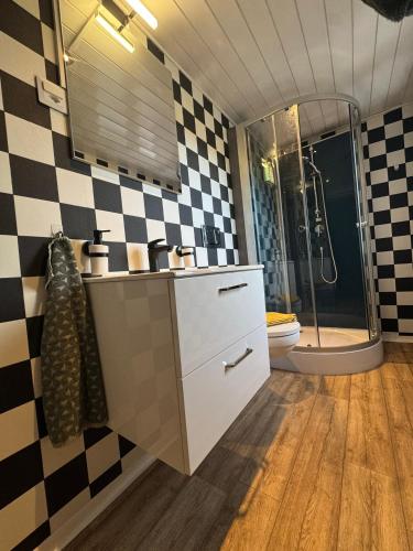 a bathroom with a sink and a shower with a toilet at Apartment Spiez - Lake view - for 7 guests in Thun