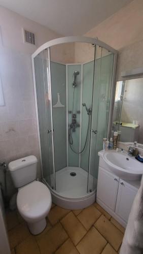 a bathroom with a shower and a toilet and a sink at Studio Emilie in Balaruc-les-Bains