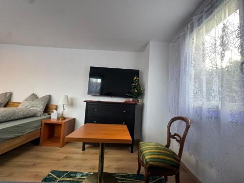 een kamer met een bed, een tafel en een tv bij Studio apartment - Park view in Thun