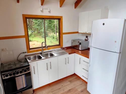 Billede fra billedgalleriet på Cabañas Lagos y Volcanes i Coñaripe