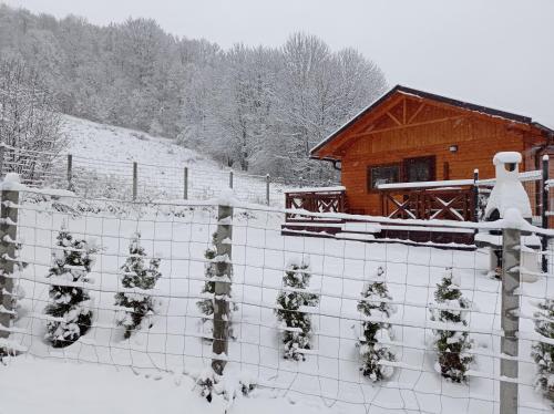 Pod Niedźwiedzicą om vinteren