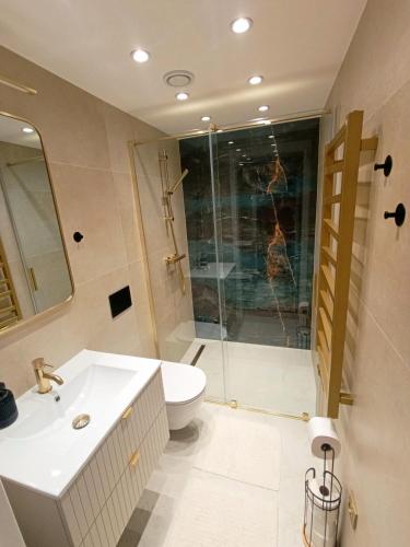 a bathroom with a shower and a toilet and a sink at Apartament Chyża , jacuzzi , taras , parking in Zamość