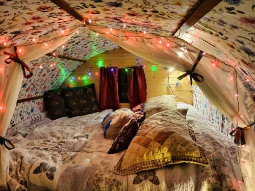 a bedroom with a bed with lights on it at The Wonderly Wagon in Fintown