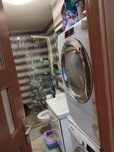 een kleine badkamer met een wastafel en een spiegel bij Apartament Gya in Lupeni