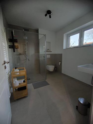 a bathroom with a shower and a toilet and a sink at SeeZeitApartments Whg 30 in Lembruch